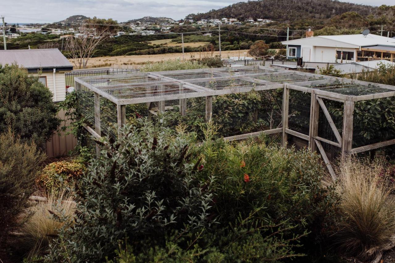 הוילה Bicheno Gardens מראה חיצוני תמונה